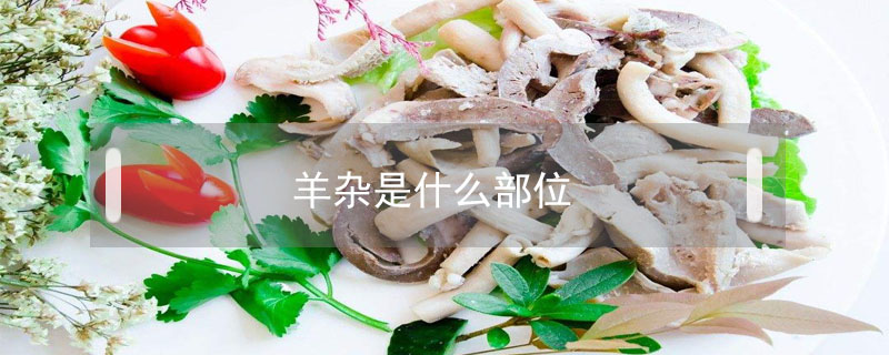 羊雜是什么部位