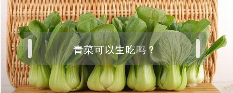 青菜可以生吃嗎?