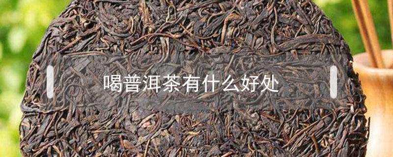喝普洱茶有什么好處