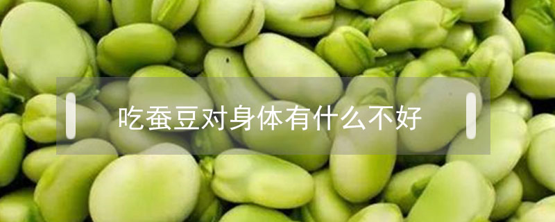 吃蠶豆對身體有什么不好