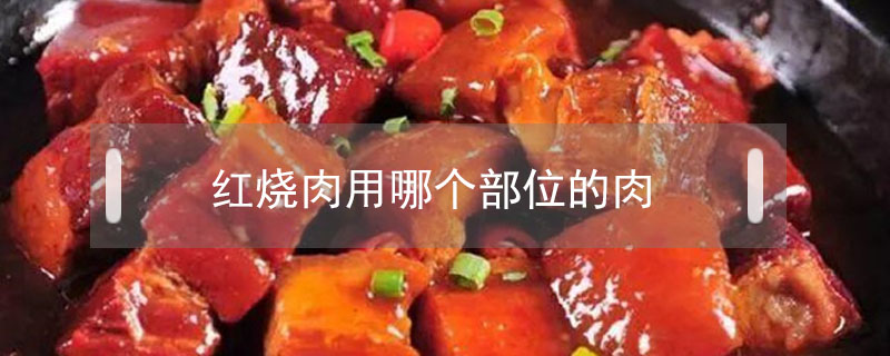 紅燒肉用哪個部位的肉