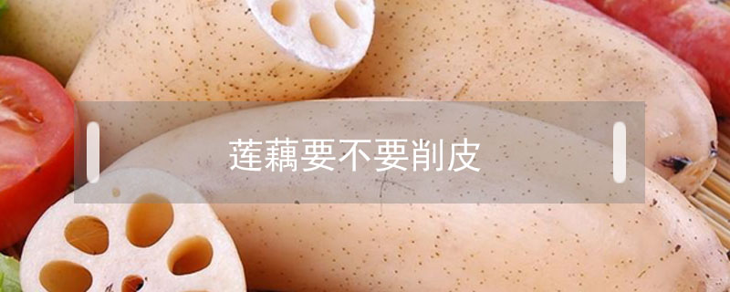 蓮藕要不要削皮