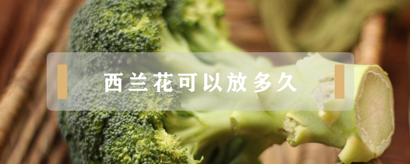 西蘭花可以放多久