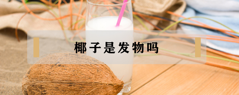 椰子是發(fā)物嗎