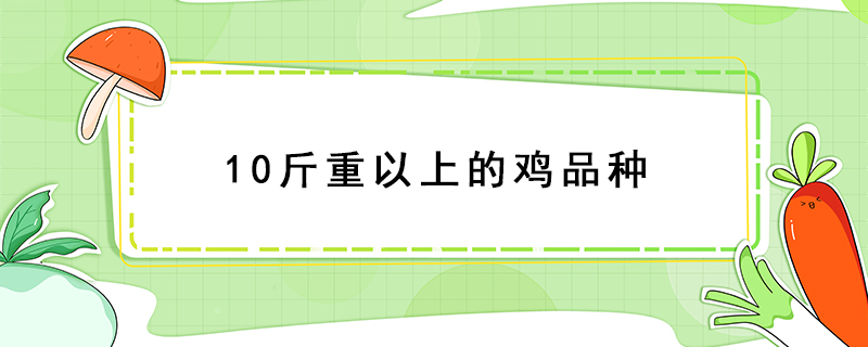 10斤重以上的雞品種