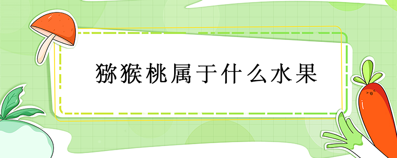獼猴桃屬于什么水果