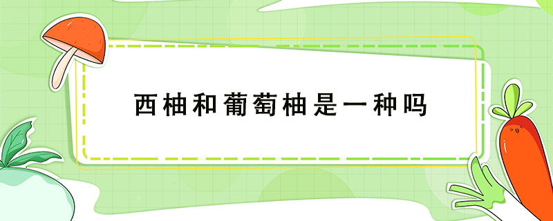 西柚和葡萄柚是一種嗎