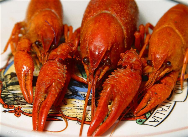 西瓜不能與什么一起吃 不能與西瓜搭配的食物