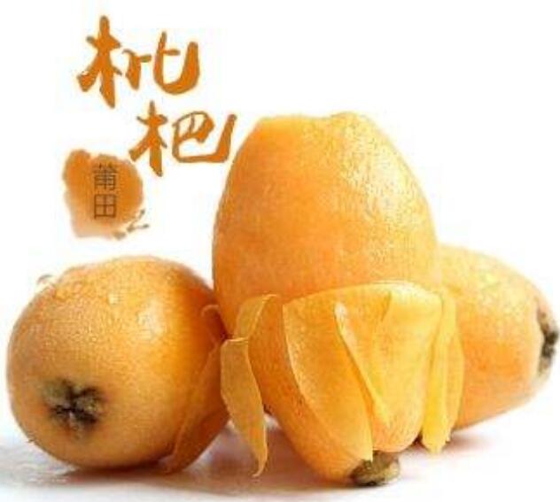 枇杷是什么地方的特產 中國三大枇杷產地在哪
