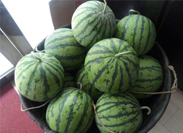 為什么叫麒麟瓜 麒麟瓜的由來