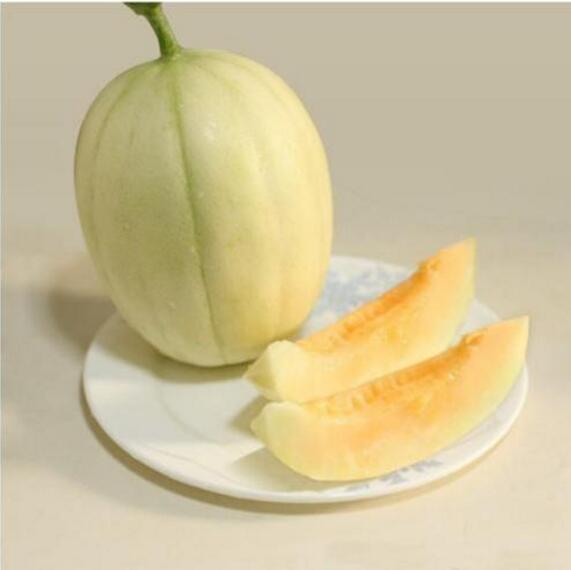 香瓜圖片，香瓜開花圖片，香瓜怎么挑好