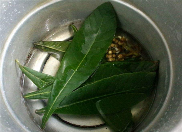 枇杷葉煮水 枇杷葉煮水喝治咳嗽嗎