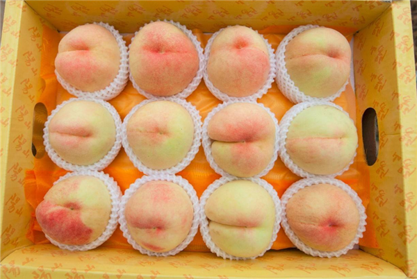 無錫水蜜桃什么時候上市 無錫水蜜桃品種