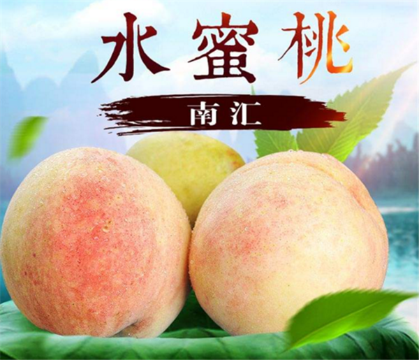 水蜜桃是哪里的特產 水蜜桃哪里產的好吃