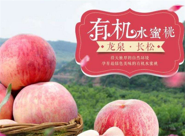 水蜜桃哪里的最好吃 最好吃的水蜜桃品種