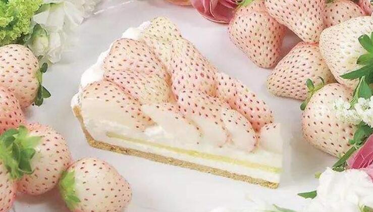 菠蘿莓圖片大全大圖 什么是菠蘿莓(白色草莓)