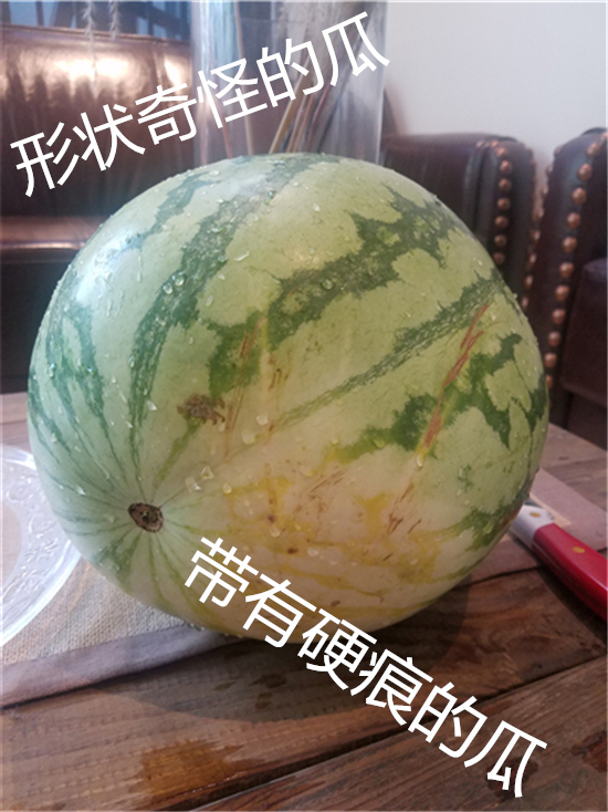 那些選購西瓜的方法是真的嗎，帶您破解選瓜謠言
