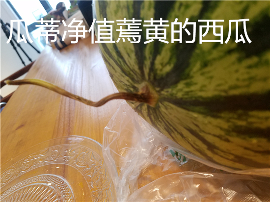 那些選購西瓜的方法是真的嗎，帶您破解選瓜謠言