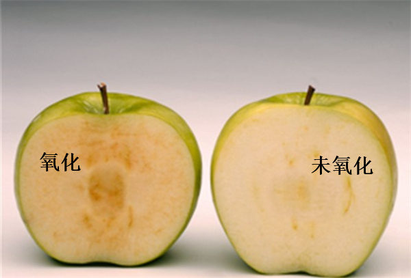 變色的水果 水果為什么會變色