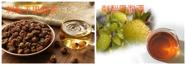 刺梨圖片 刺梨花圖片 野生刺梨圖片