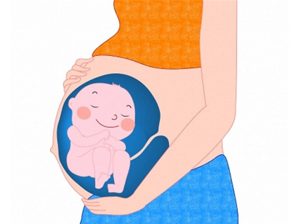 青橘子孕婦能吃嗎 青橘子酸非常適合孕婦吃