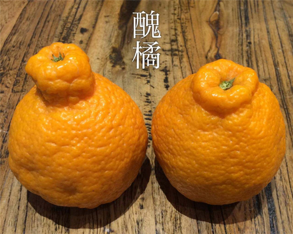 丑橘什么時(shí)候成熟上市 丑橘在年初2-3月份上市