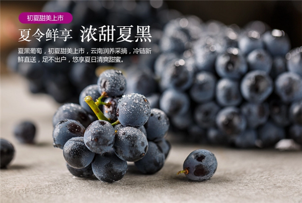 夏黑和巨峰葡萄哪個好吃 夏黑葡萄屬于巨峰的后代