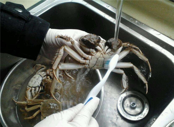 大閘蟹如何清洗,大閘蟹清洗前用酒泡出內(nèi)漬