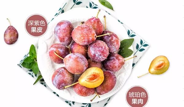 西梅是什么季節水果，西梅的營養價值