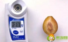 哪個品種的西梅最甜，新疆喀什法蘭西西梅糖度能達到22-25%