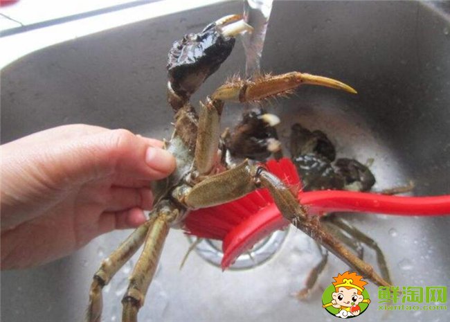 梭子蟹怎么洗最干凈，梭子蟹怎么洗干凈圖解