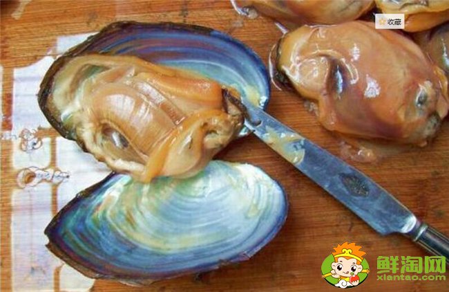 河蚌怎么洗才最干凈?河蚌最干凈的清理方法(提前兩天用清水浸泡)