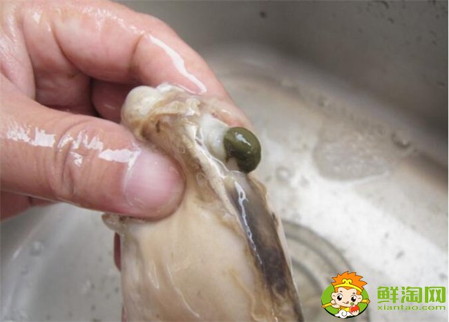 河蚌怎么洗才最干凈?河蚌最干凈的清理方法(提前兩天用清水浸泡)