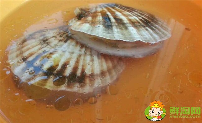 扇貝怎么洗干凈，扇貝肉怎么洗干凈(去除內臟用鹽水生粉唰一唰)