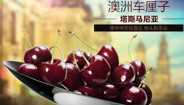 進口櫻桃品種排名，櫻桃品種介紹及排名