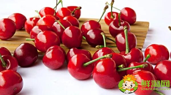 山東煙臺的櫻桃什么時候成熟，煙臺櫻桃成熟的季節初夏4月中旬