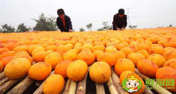 柿子餅怎么做，柿子餅的做法(五步輕松學會)