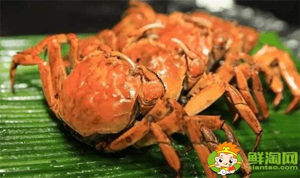 柿子餅孕婦可以吃嗎，柿子餅孕婦能吃嗎(孕婦吃柿子餅的禁忌)