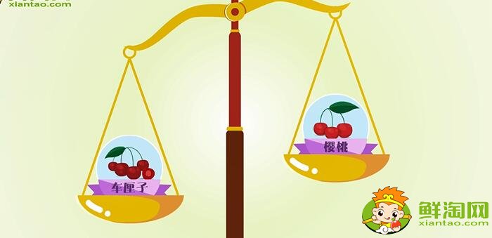 車?yán)遄雍蜋烟业膮^(qū)別