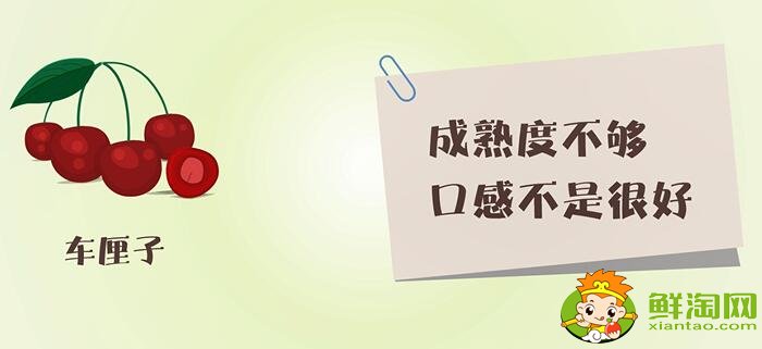 車?yán)遄雍蜋烟业膮^(qū)別