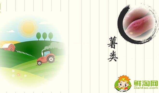 五谷雜糧有哪些