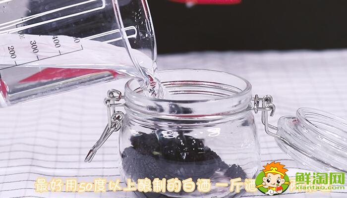 一斤桑葚泡幾斤白酒