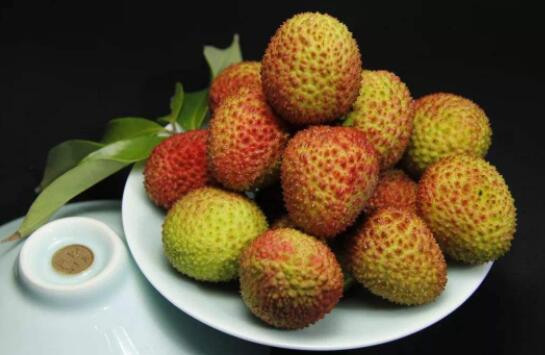 妃子笑荔枝什么時候熟