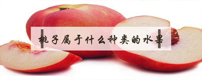 桃子屬于什么種類的水果
