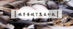 鴿子蛋破了怎么補救