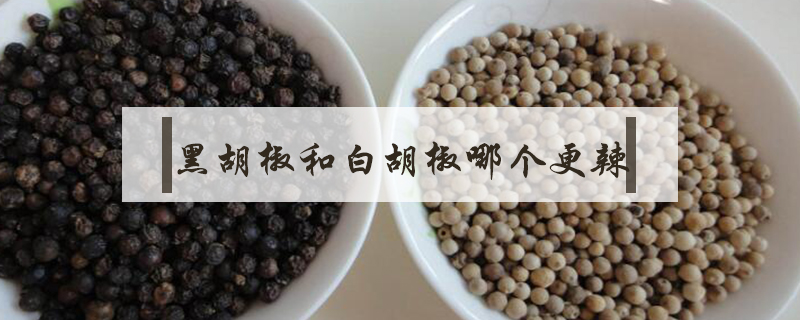 黑胡椒和白胡椒哪個更辣