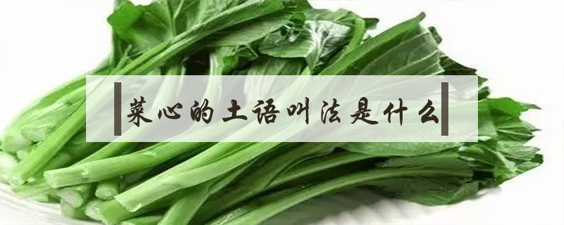菜心的土語(yǔ)叫法是什么