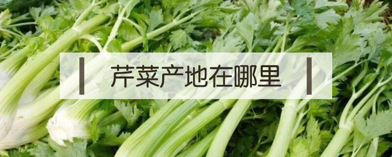 芹菜產地在哪里