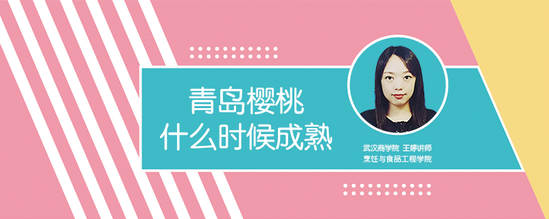 青島櫻桃什么時候成熟