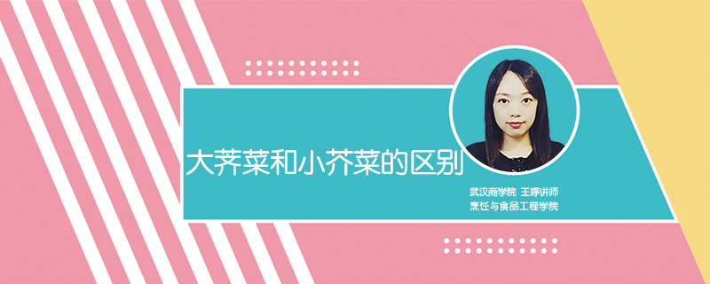 小芥菜和大芥菜的區別